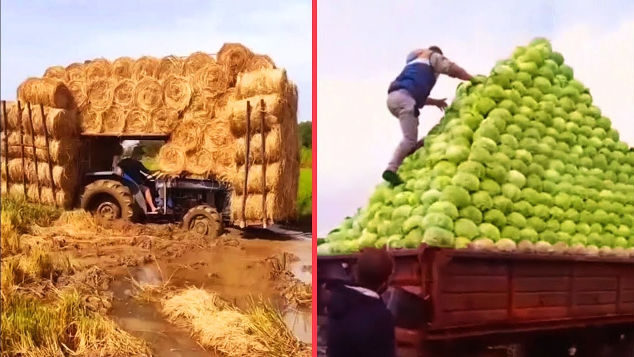أحبوا عملهم فأتقنوه.. العمال الخارقون يبرعون في عملهم بطرق لا تصدق عليك مشاهدتهم!!!
