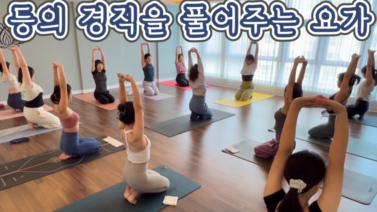 [엔젤요가] 등의 경직을 풀어주는 요가
