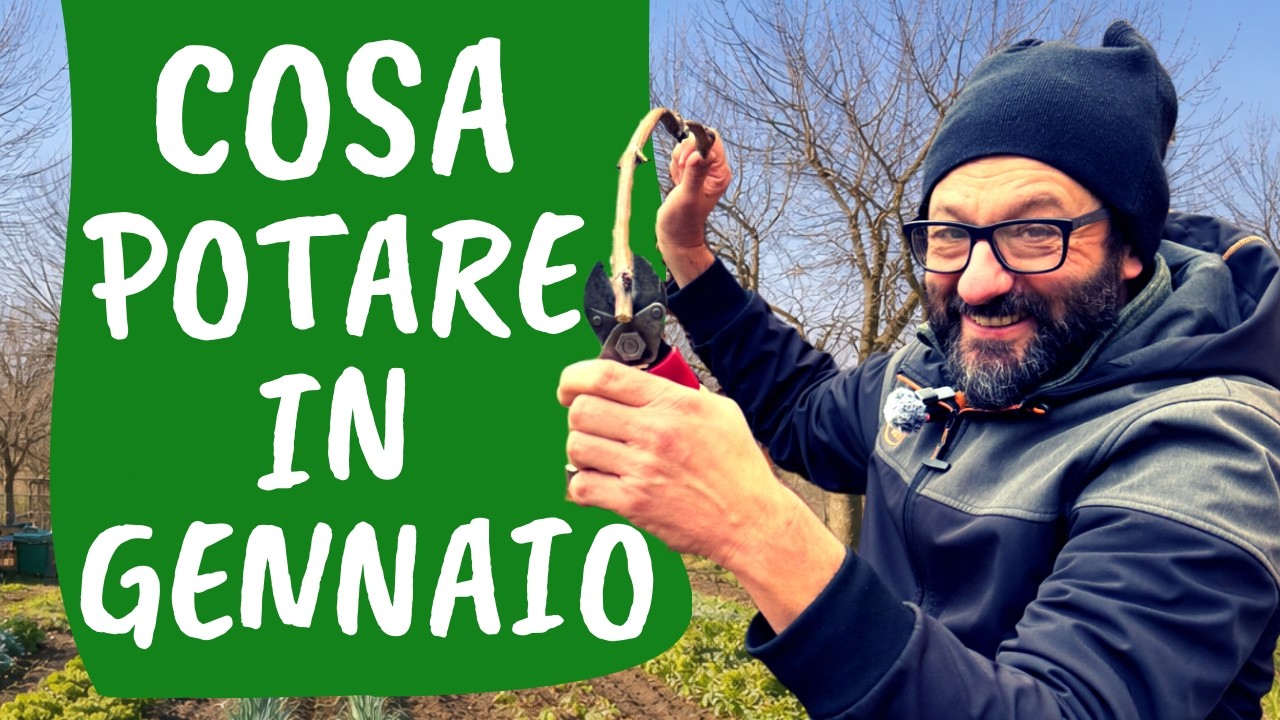 COSA POTARE a GENNAIO: le potature da fare adesso