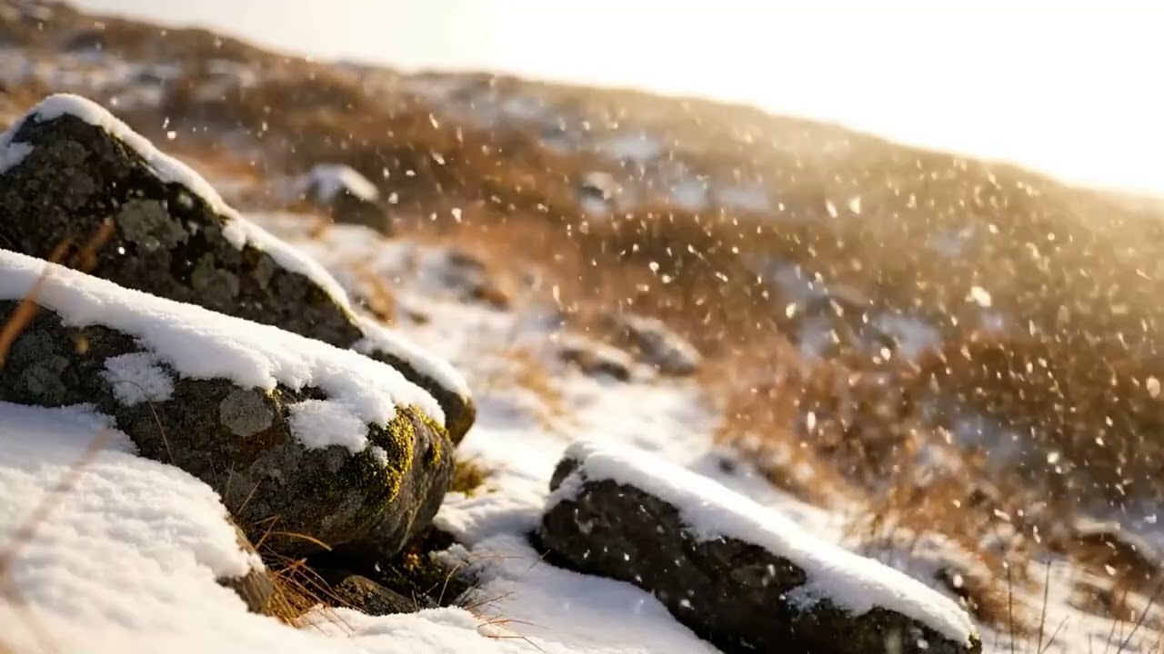 Peaceful Medieval Music | Relaxing Snowfall for Focus & Sleep