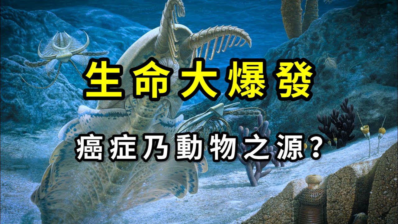 癌症引發了寒武紀生命大爆發？