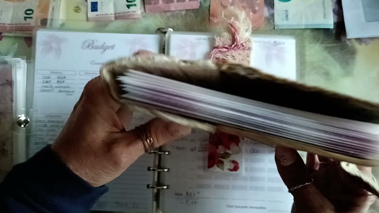 Budget Janvier/ Nouveautés / bilan S1 / Remplissage S2 / New Enveloppe / Support gardé