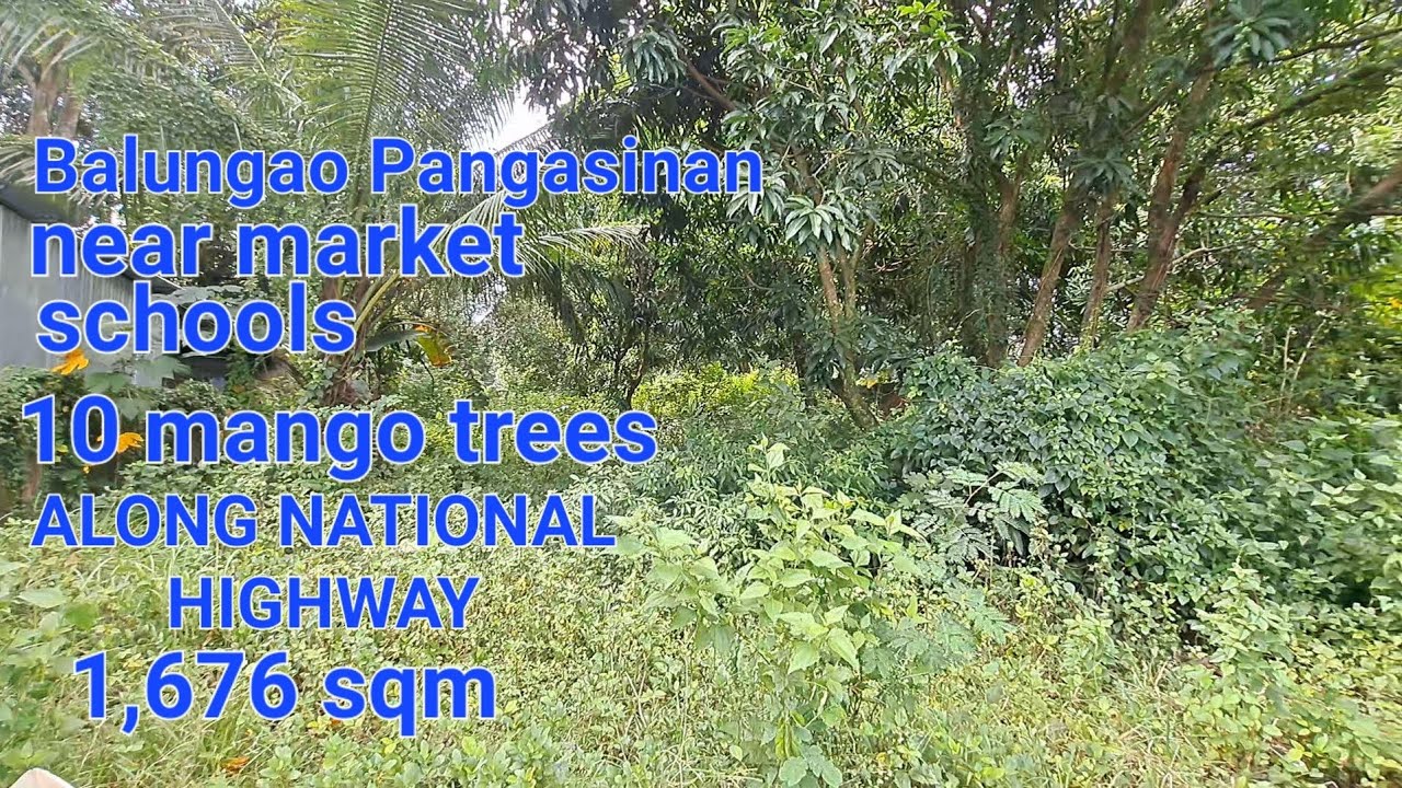 #vlog #389 Lot For sale along National Highway 1,676 sqm Balungao Pangasinan
