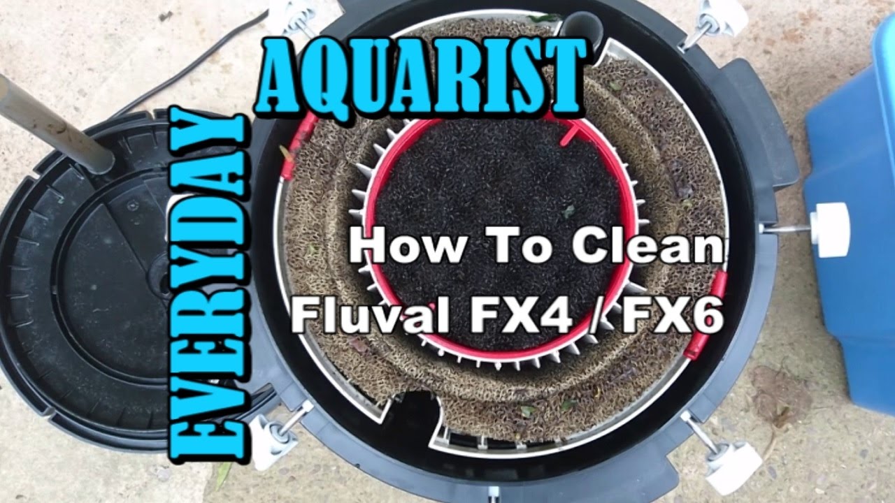 Fluval FX4 & FX6 Filter: Cleaning and Maintenance