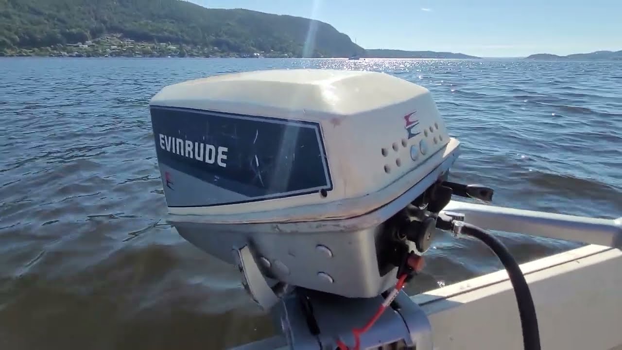 Evinrude 8HP 1987 outboard engine test run