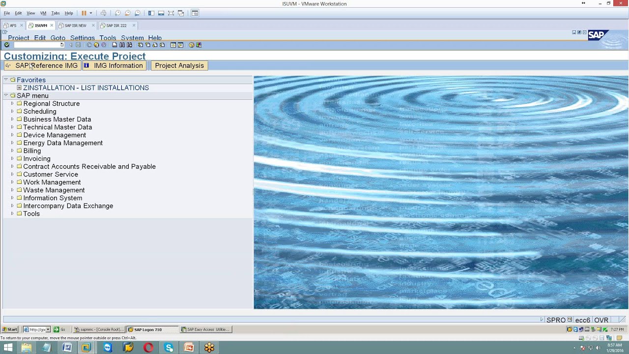 SAP Utilities -  Move out process and End Billing
