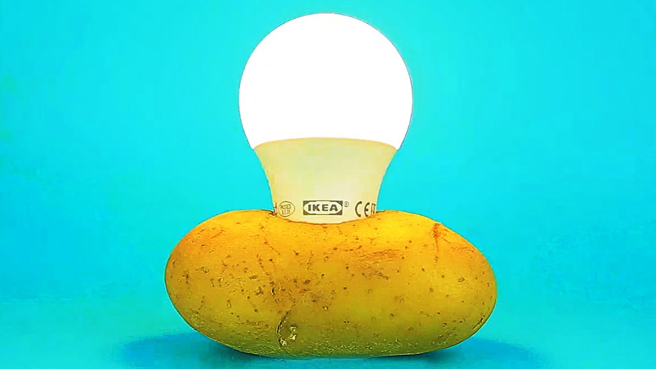 17 EASY SCIENCE EXPERIMENTS THAT LOOK LIKE MAGIC