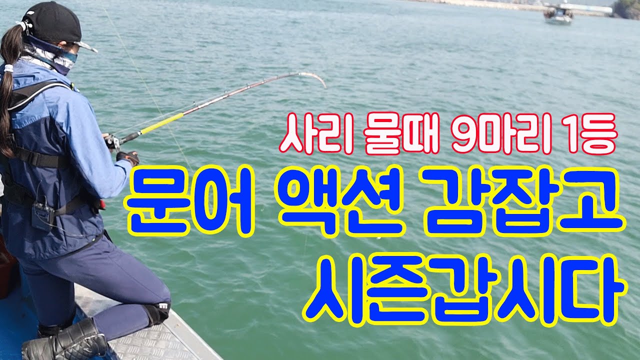 문어낚시 9마리잡고 배에서 1등! 삼천포미래호/삼천포문어낚시 문어낚시채비 문어낚시방법