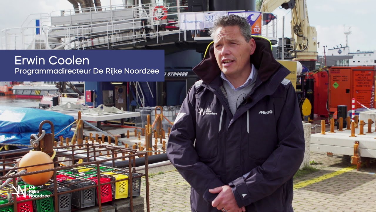 Oesters uitgezet op de voet van windturbines \\ De Rijke Noordzee