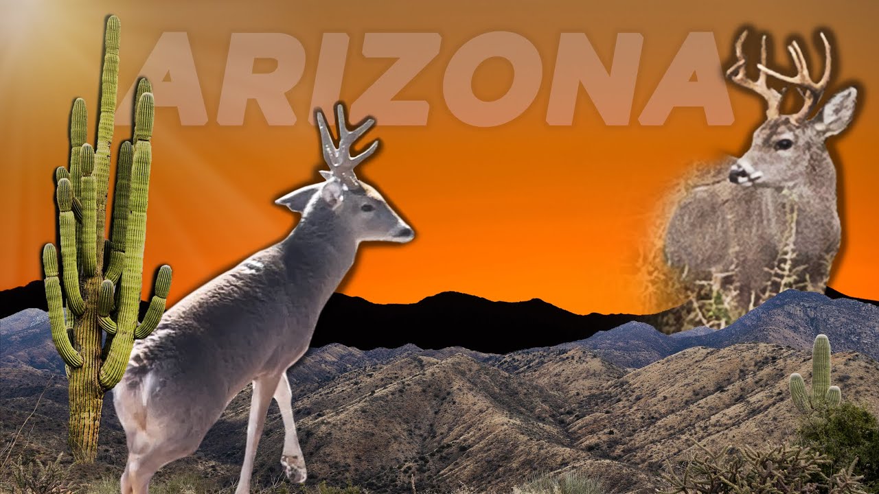 Bowhunting Desert Coues Deer! HARDEST Bowhunt in America?