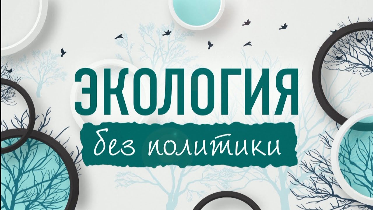 &laquo;Экология без политики&raquo;: &laquo;айский сервитут&raquo;