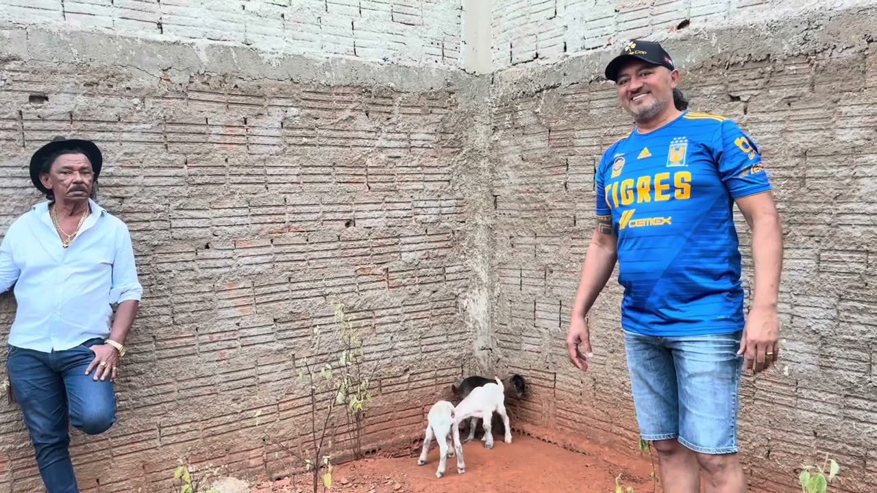 CHARLLES E TIRINGA FELIZES COM OS TRIGÊMEOS DA CHÁCARA | COMÉDIA SELVAGEM