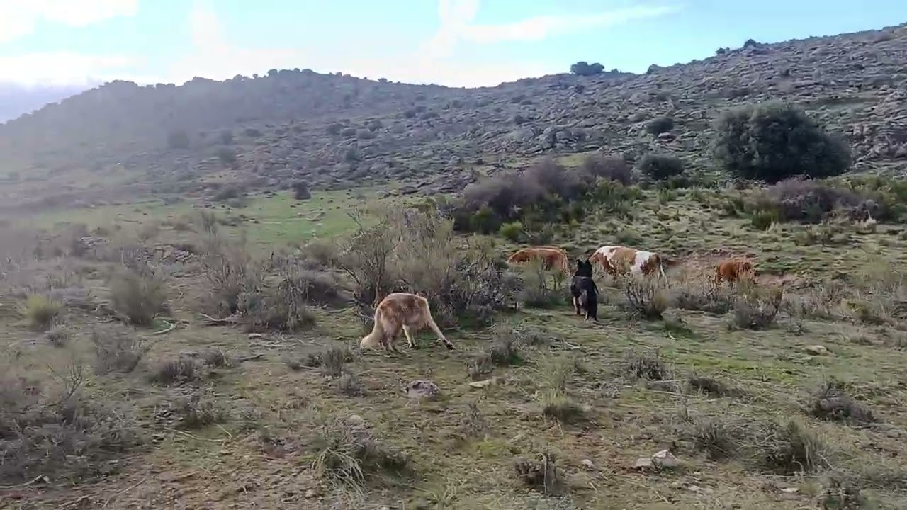 Salida al agua