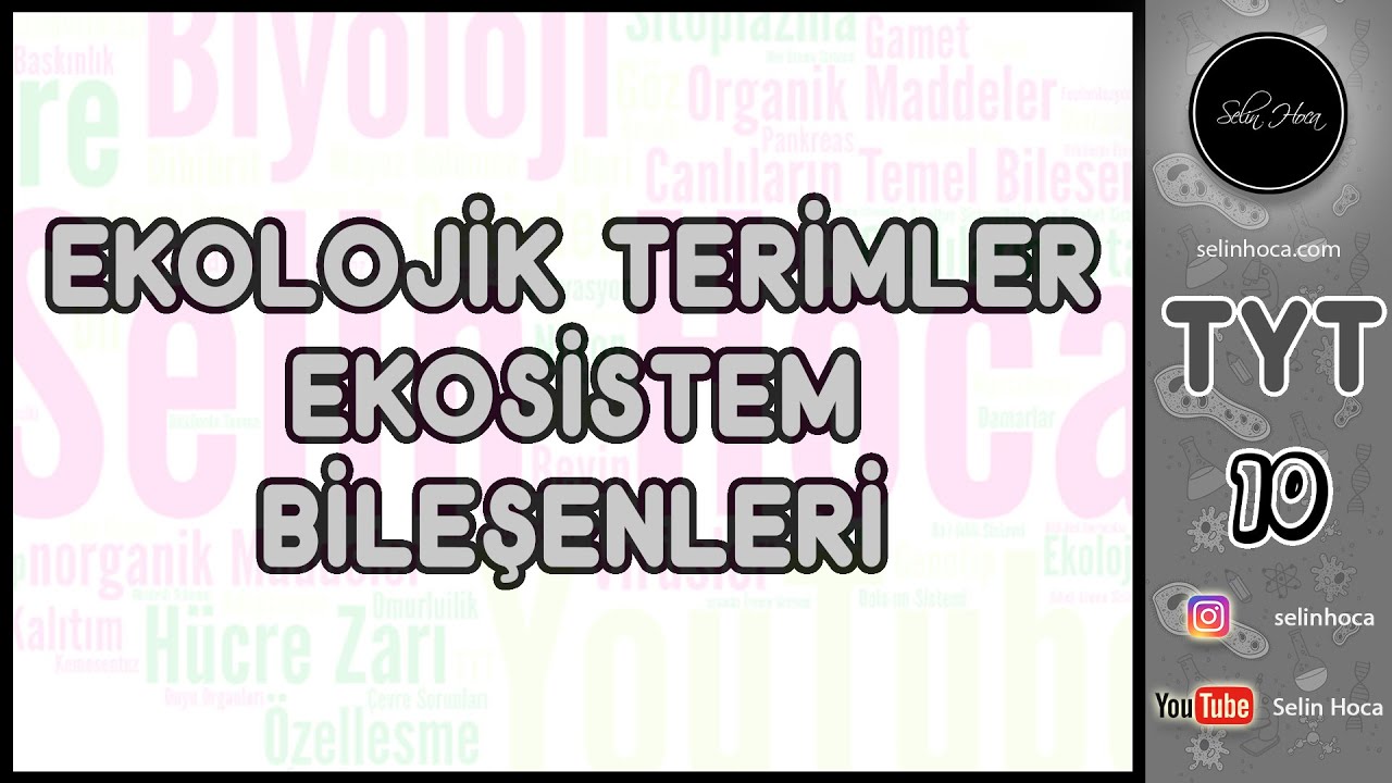 15) Ekolojik Terimler ve Ekosistem Bileşenleri