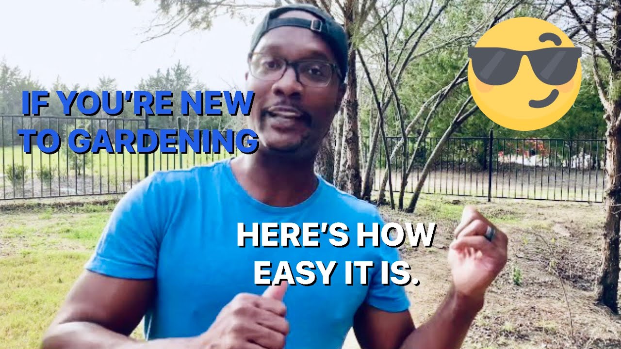 How to relocate hardy hibiscus // L.A.G.
