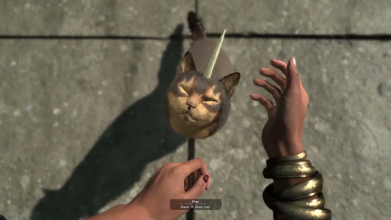 The Best Way to catch cats in Forspoken