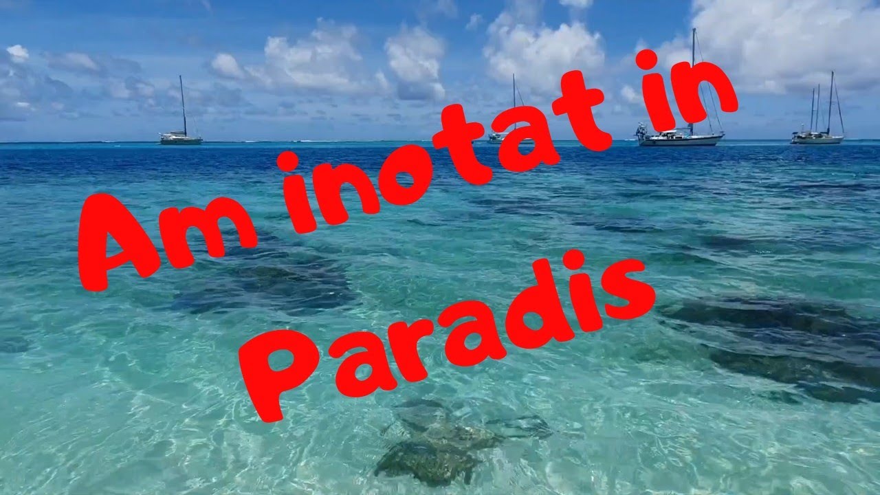 Am inotat in Paradis