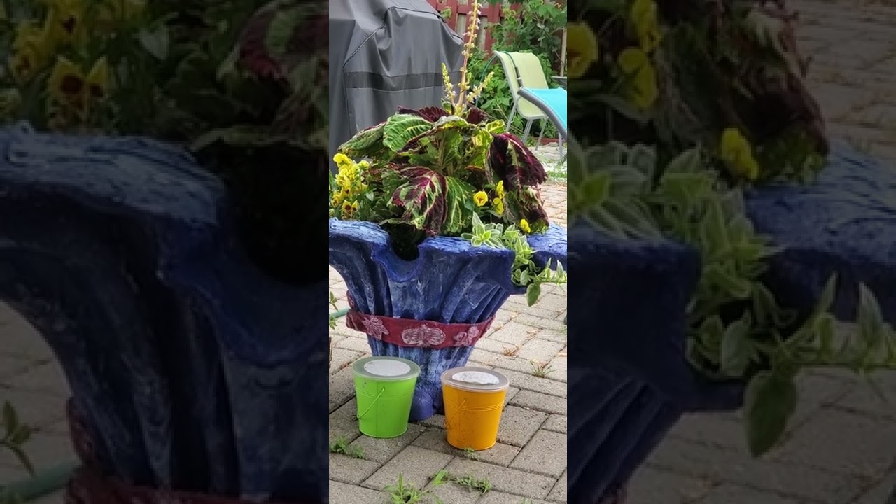 اسباب طلب المراة المغتربة الطلاق من الرجل في كندا