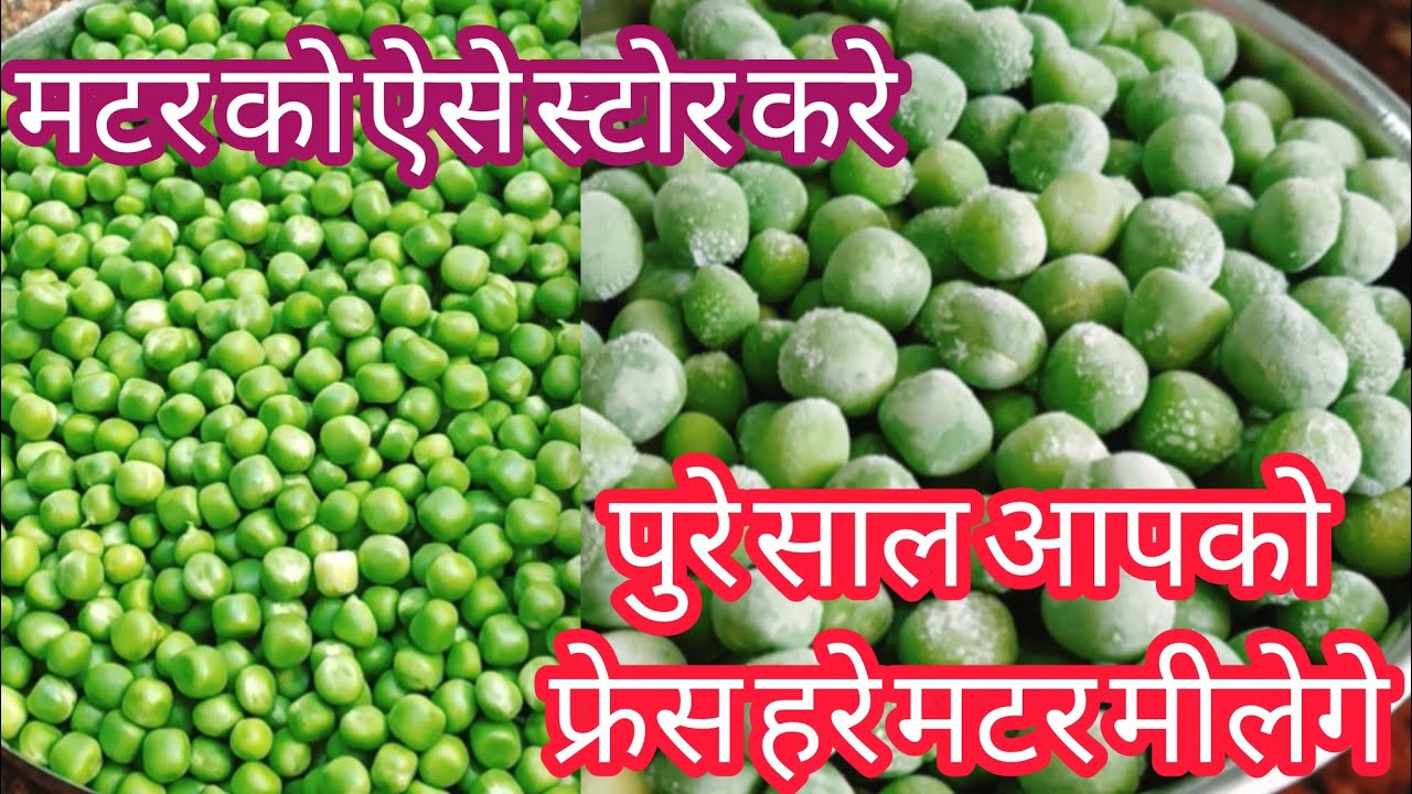 Hare Matar Ko Store Kaise Kare|आपने हरे मटर को ऐसे स्टोर कर लिया तो पुरे साल बाजार से नहीं लानाहोगा 