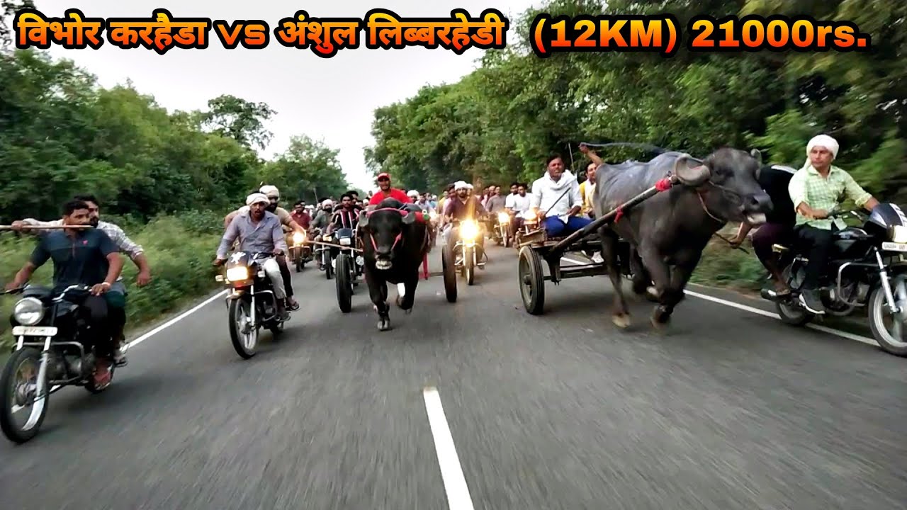 Vibhor Karheda(Win) vs Anshul Libberhedi || 12KM || 21000rs | 15-6-22 | jhota race | jhota race 2022
