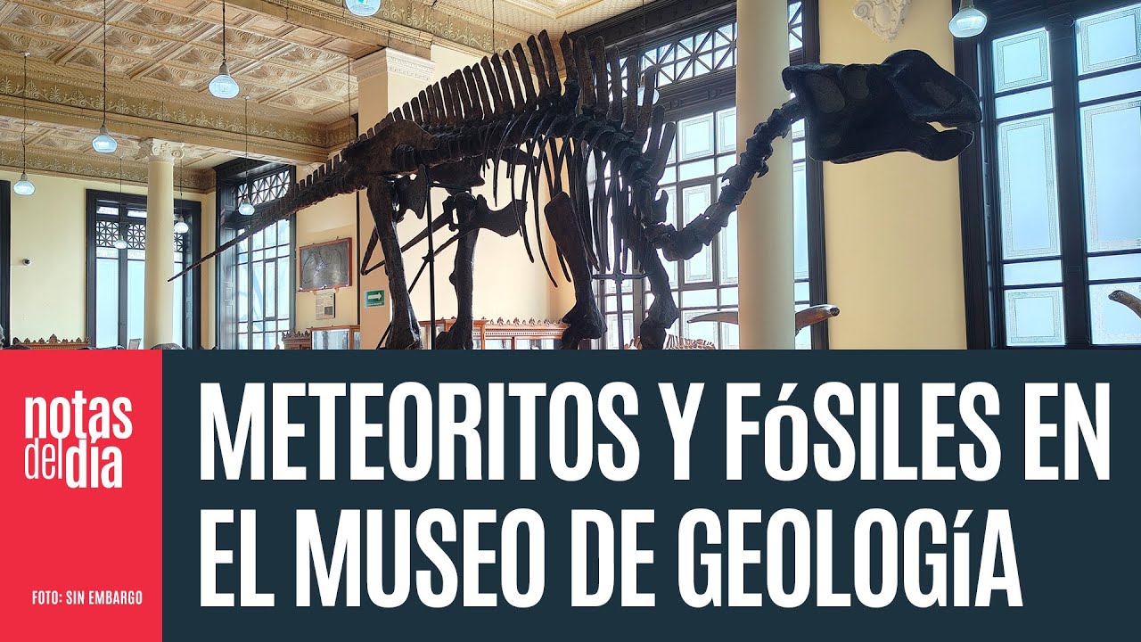 Meteoritos y fósiles en este museo de la Ciudad de México