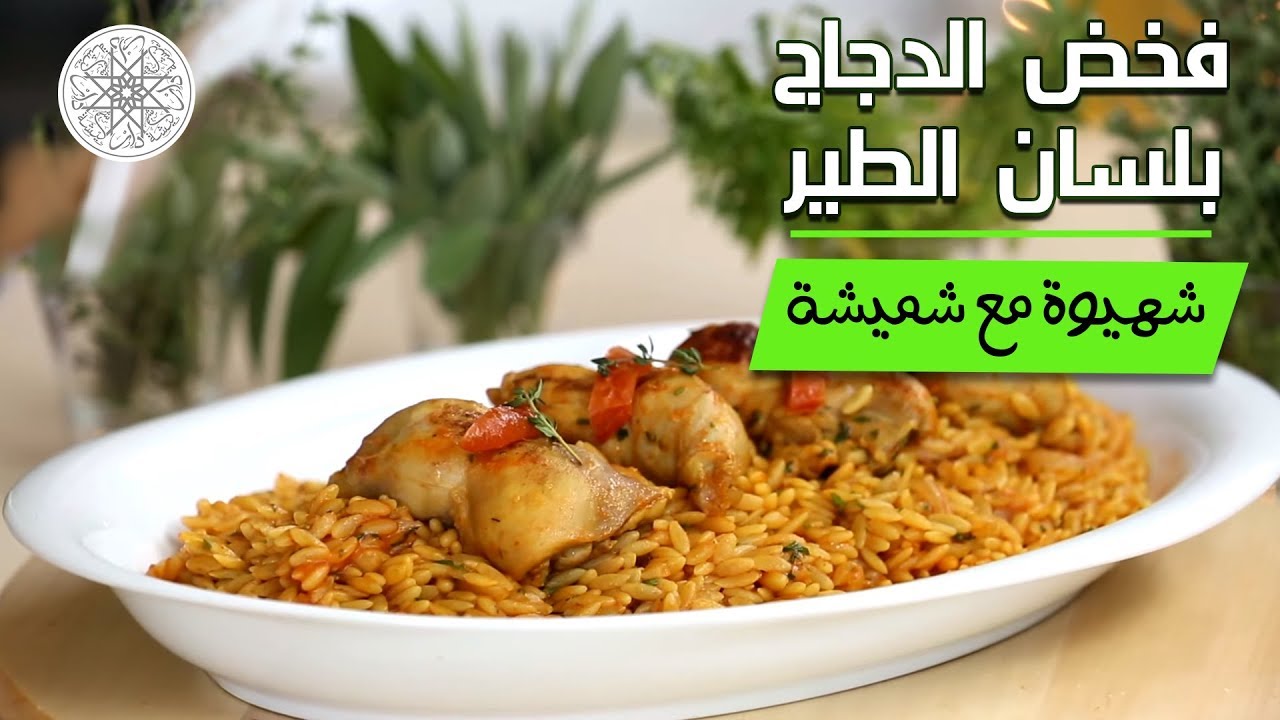 شهيوة مع شميشة : فخض الدجاج بلسان الطير