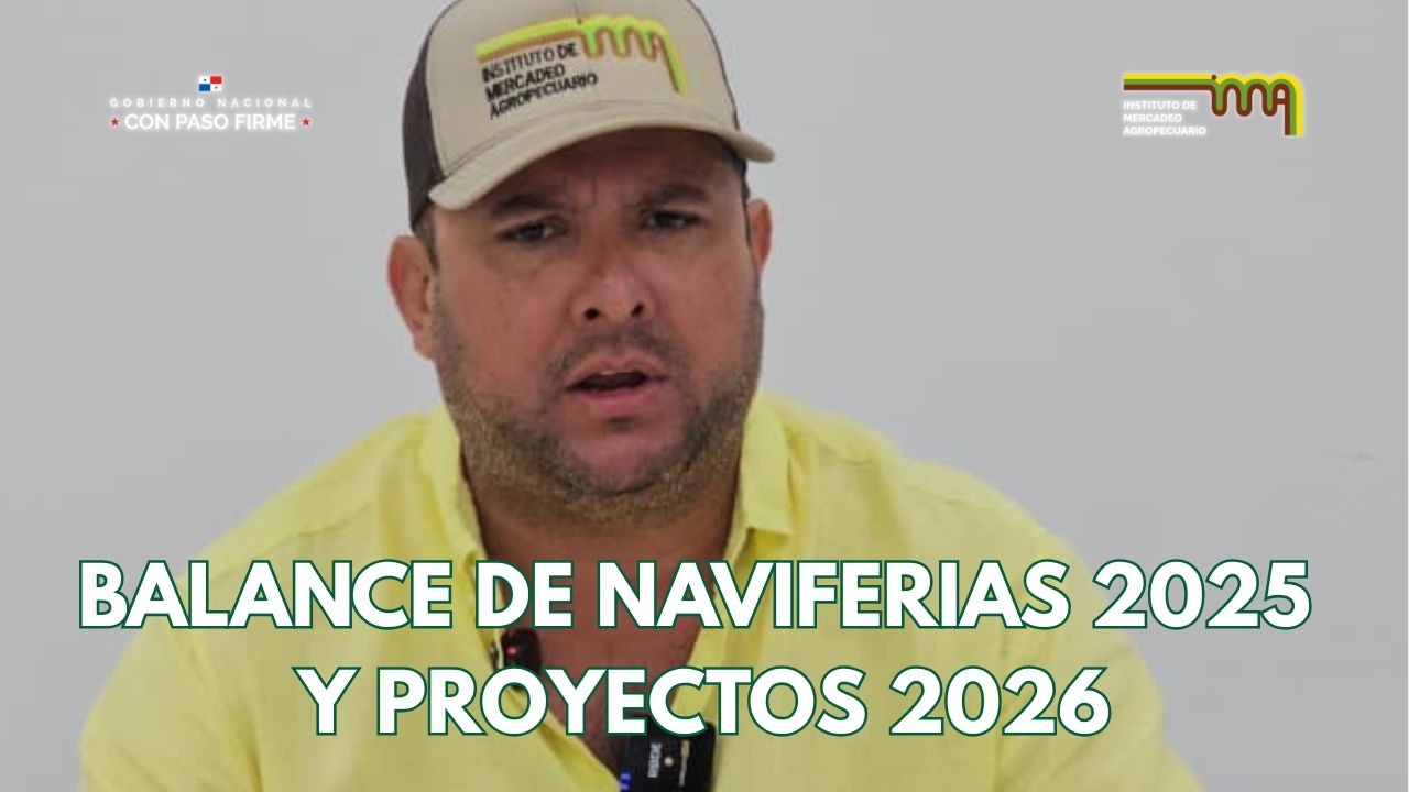 IMA - BALANCE DE NAVIFERIAS 2025 Y PROYECTOS 2026