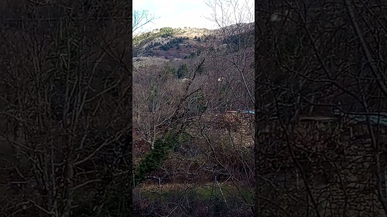Día más agradable de invierno en la Sierra Norte de Madrid junto al río y verdes bosques