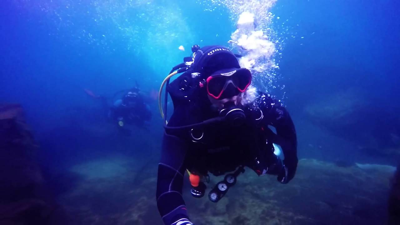 Dive Zone Whitianga Dive in Taupo