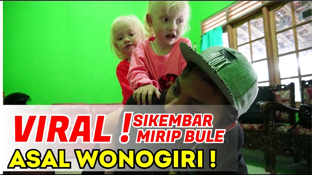 LAGI VIRAL! KELUCUAN ALBINO KEMBAR DI WONOGIRI