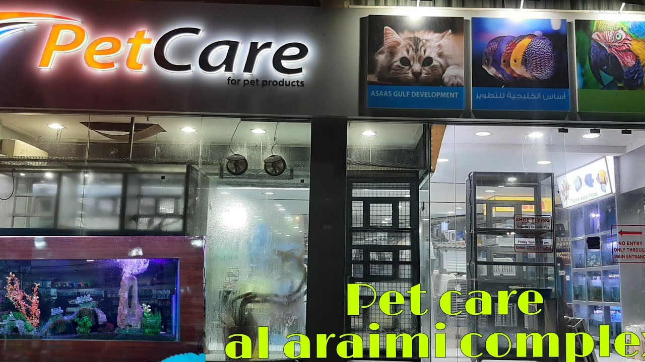 Pet care Oman muscat Al araimi complex. fish and aquarium pet produts.. #animal world #omanpet