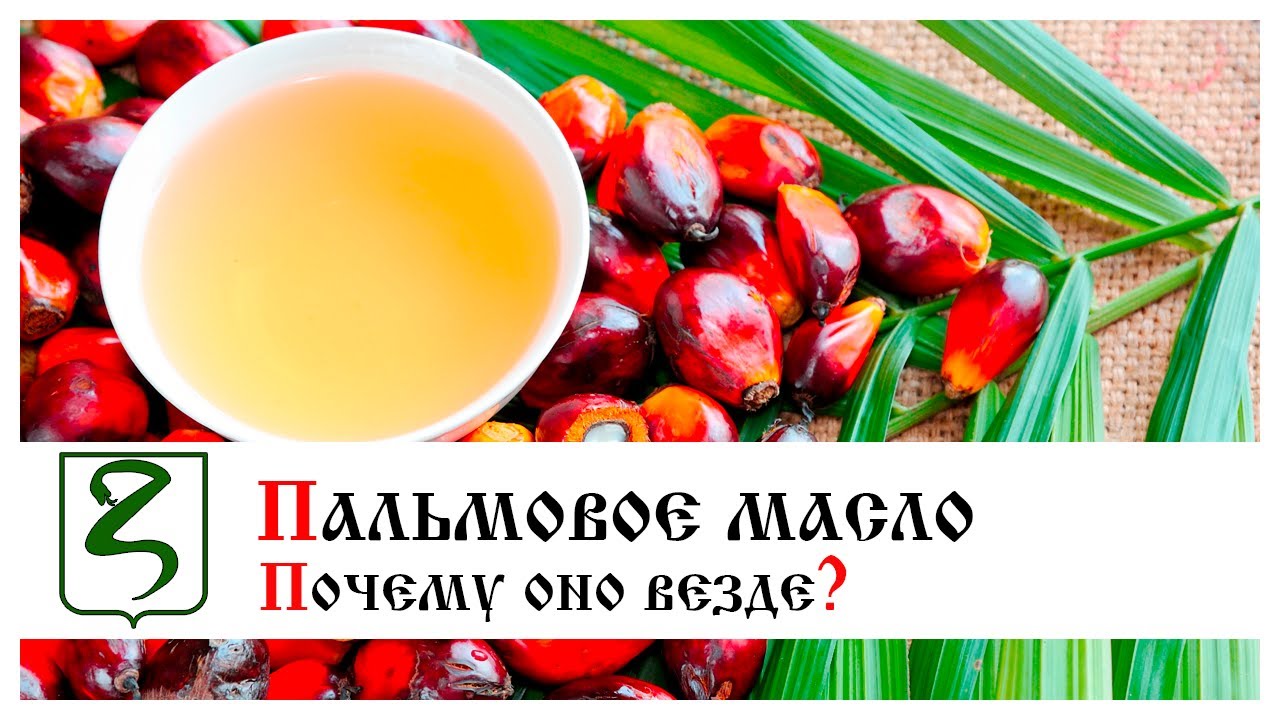 ПАЛЬМОВОЕ МАСЛО/ПОЧЕМУ ОНО ВЕЗДЕ?