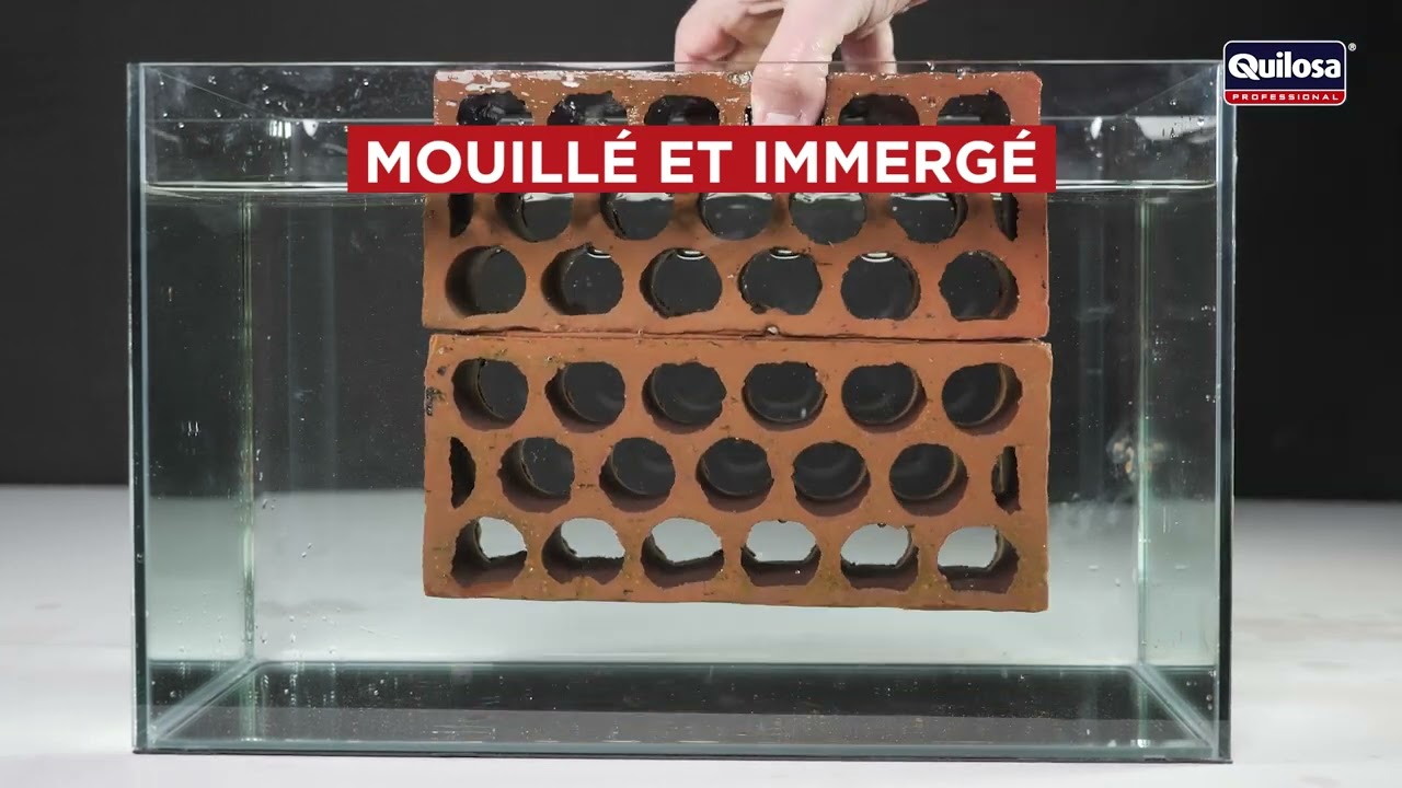 MS 35 Total Français