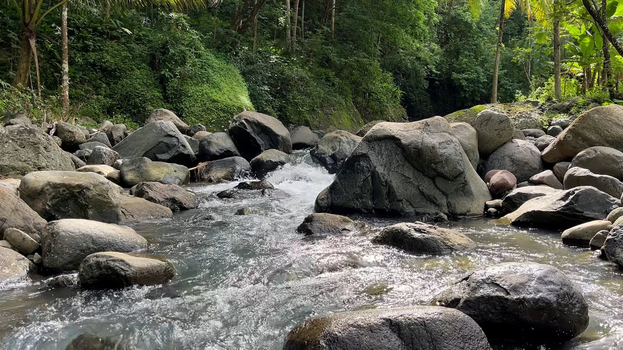 River Sounds for Sleep Fast 🌊 Deep Sleep Relaxation & Stress Relief | Calming Nature Ambience