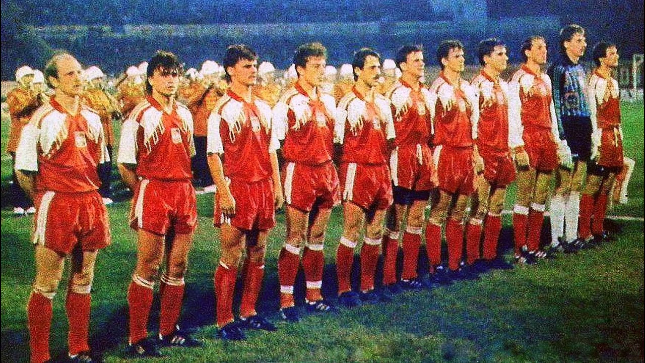 [480] Turcja v Polska [14/11/1990] Turkey v Poland