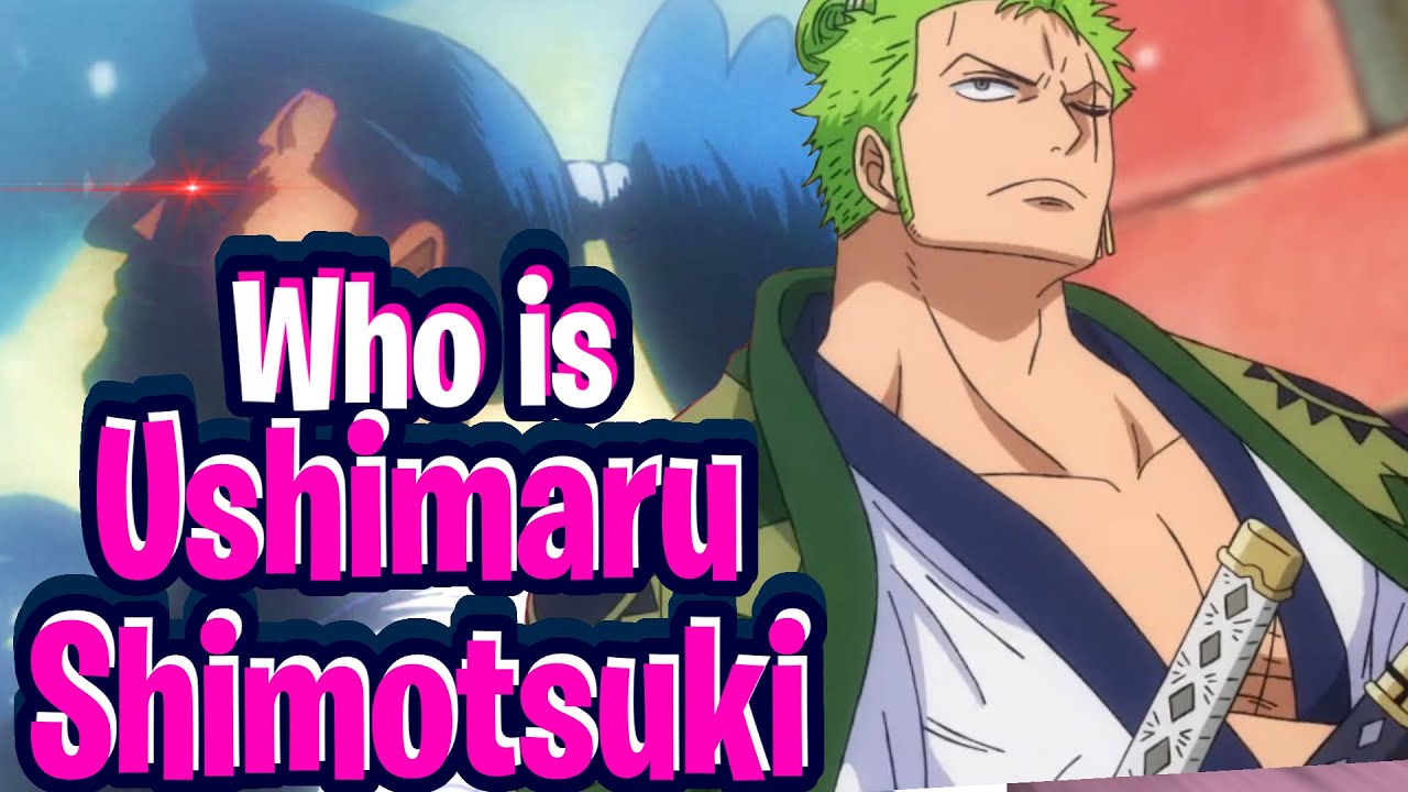 Who Is Ushimaru Shimotsuki | His Importance To Zoro - One Piece