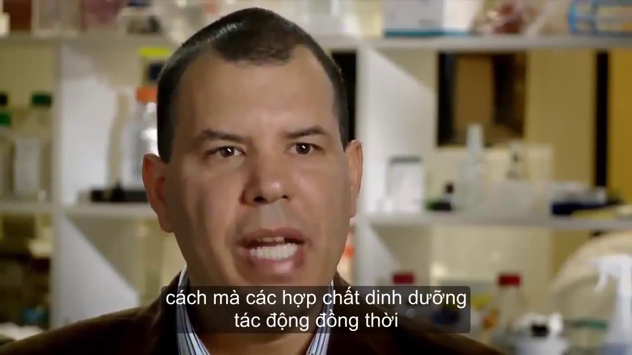 Cơ Sở Khoa Học của C&ocirc;ng Nghệ Gene AgeLOC   Gene Chip v&agrave; Ng&acirc;n H&agrave;ng Dữ Liệu Gene L&ecirc; Sen 0985020179