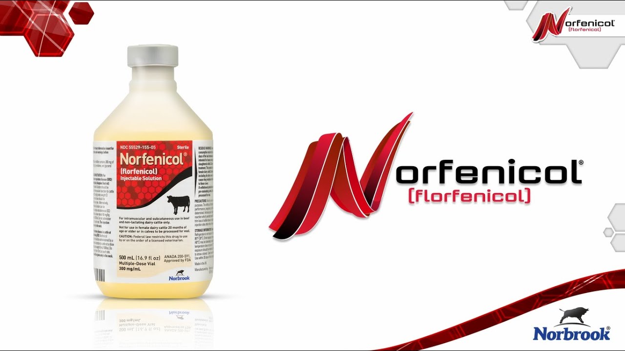 Norfenicol®