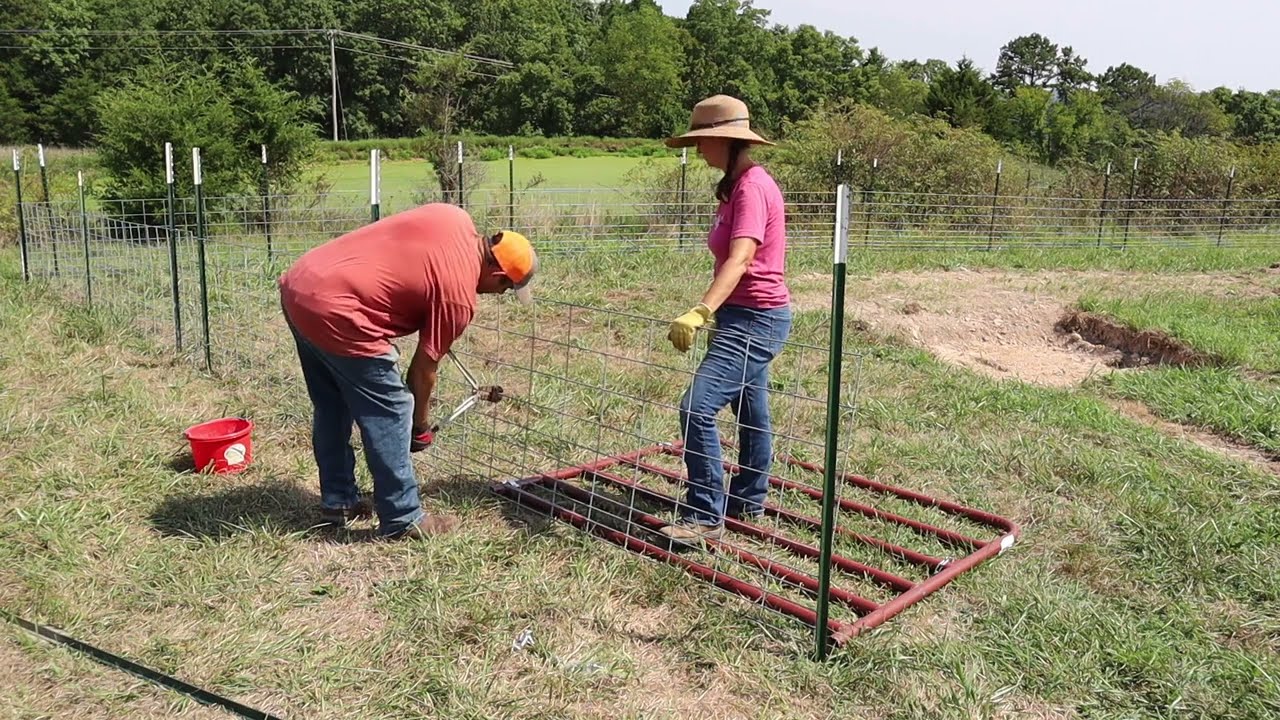 Finally Starting our EPIC Pig Pen Build!!!