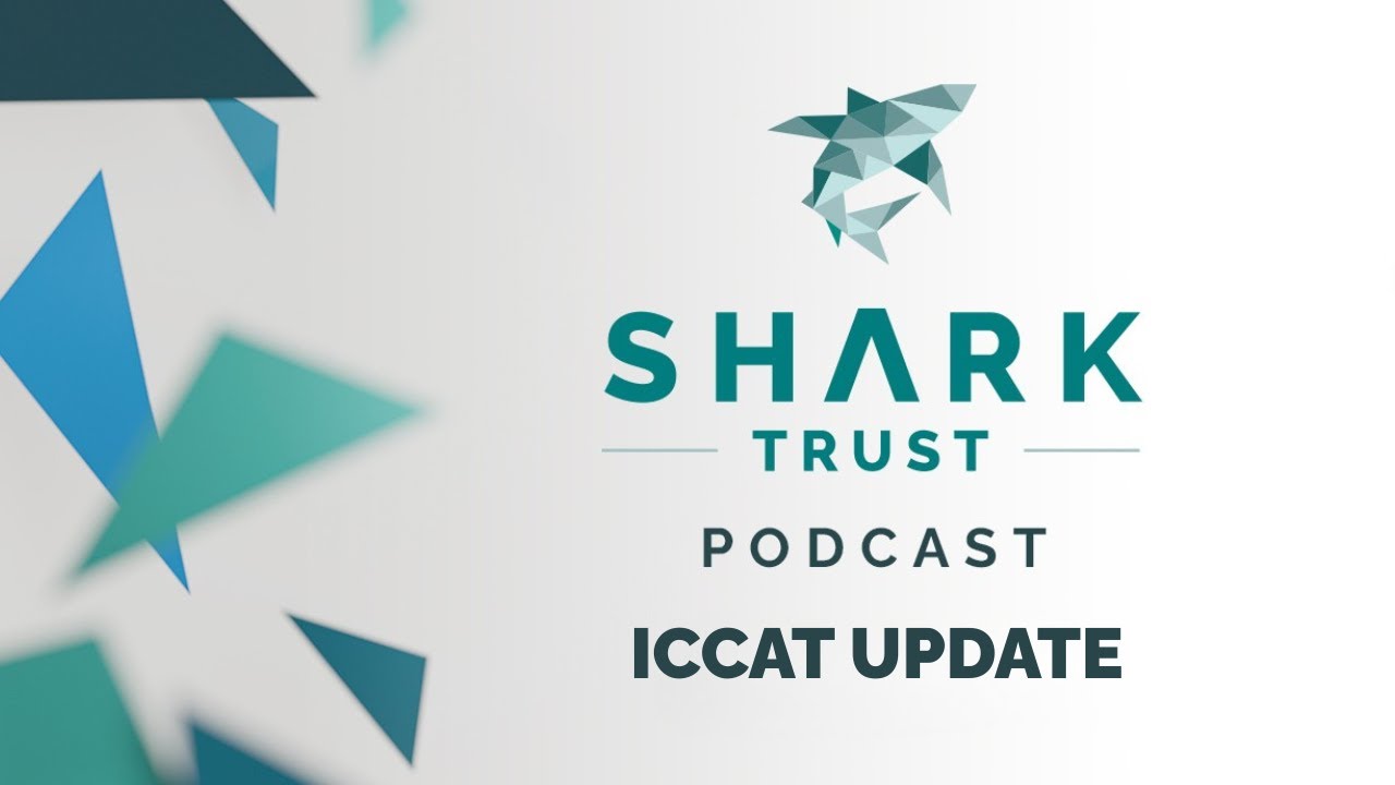 Bonus: ICCAT Update