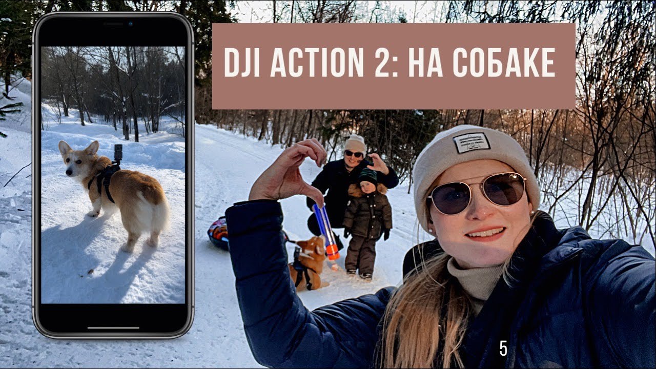 Тестируем камеру: DJI Action 2 на собаке! Справится ли встроенный стабилизатор?