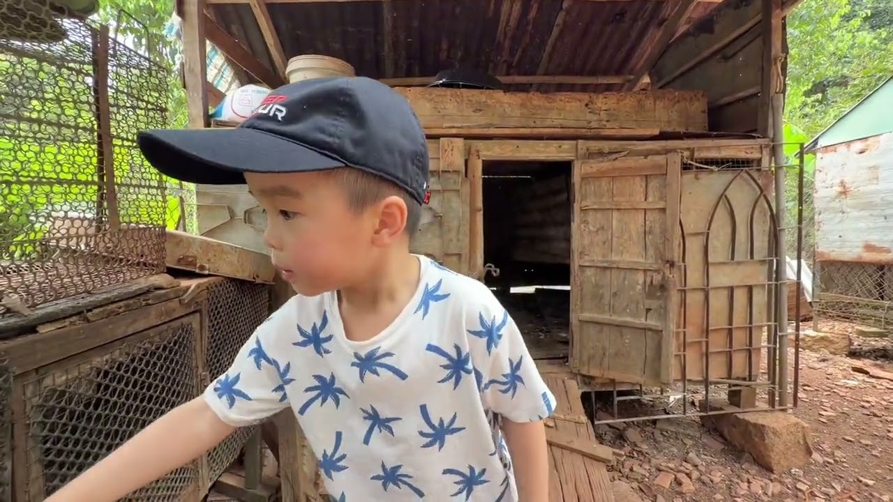Nhà Ngoại chuồng gà 🐓 #rolandpham #vietnameseboy #baby #cute #funny 