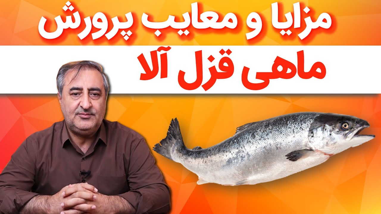 مزایا و معایب پرورش ماهی قزل آلا