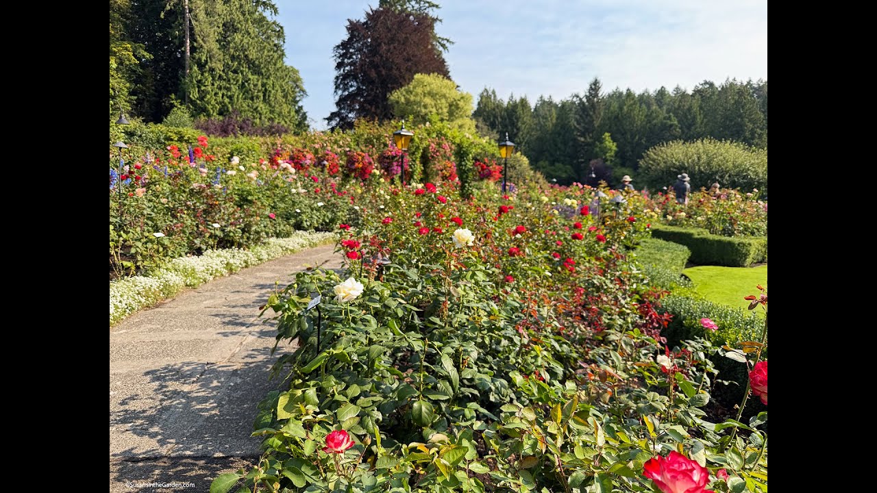 Butchart Gardens Virtual Tour (2025) #31
