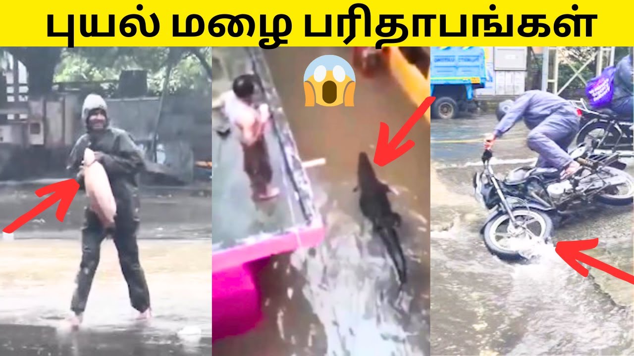 😱புயல் வெள்ளத்தில் நடந்த மொரட்டு சம்பவங்கள்🙈|FLOOD ATRCITIES🔥மழை பரிதாபங்கள்😅|CHENNAI FLOOD|CYCLONE