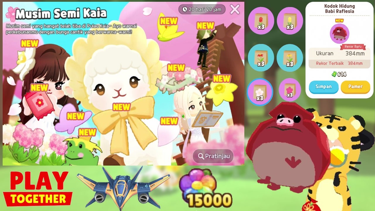 UPDATE EVENT PERI BUNGA DAN MENANGKAP KODOK LANGKA BARU KODOK HIDUNG BABI RAFLESIA, PLAY TOGETHER