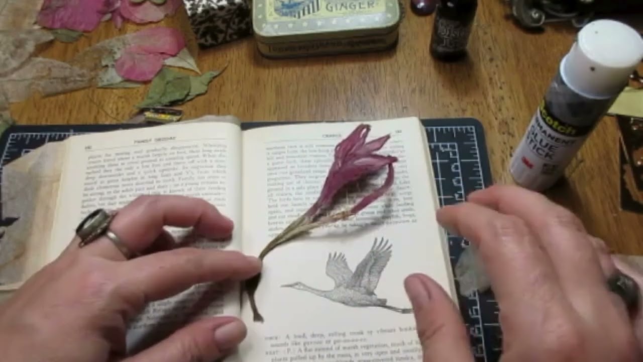 Ephemera Base Mass Make w/ Tea bags, gauze, foliage and an old book