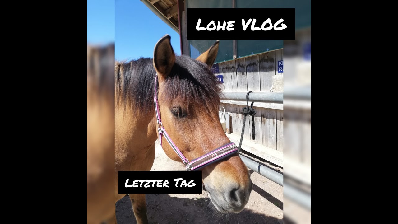 Lohe VLOG- letzter Tag