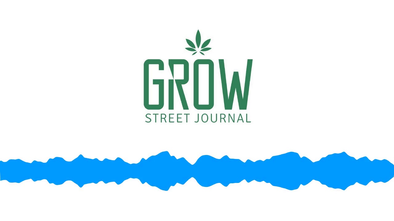 Cannabis Flower accessed on Prescription in the UK