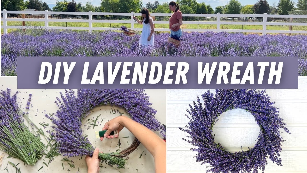How to make a lavender wreath with FRESH LAVENDER!